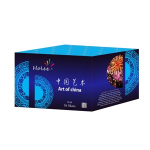 HOLEE FIREWORKS → 70-01 → FYRVÆRKERI BATTERI